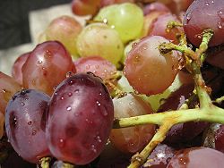 grapes photos