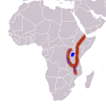Ida-Aafrika riftivöönd