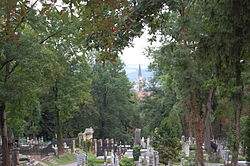 A temető, távolban a Szent Mihály-templommal
