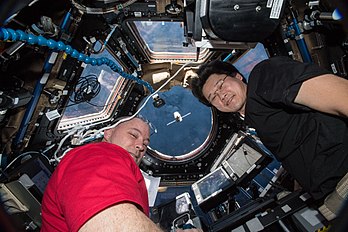 Астронавты Скотт Тингл и Норишиге Канаи.