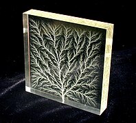 樹狀：利希滕貝格圖案（Lichtenberg figure）：壓克力塊中的高壓電擊穿現象