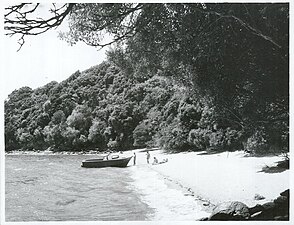 Photographie noir et blanc d'une place de petite dimension entourée pas une végétation dense.