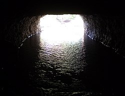 Монтгомери Белл Tunnel.jpg