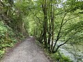 Wanderweg am Fuß des felsigen Steilhanges entlang der Wupper