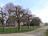 Langhuisboerderij met naastgelegen veeschuur