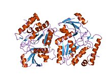 PDB 2j8x EBI.jpg