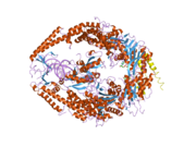 2o8b: مولکول ترکیبی موتسالفا (MSH2/MSH6) انسانی در ترکیب با آدنوزین دی‌فسفات و یک جفت‌شدن ناجور گوانین و تیمین