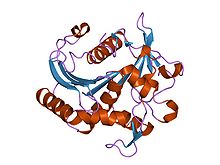 PDB 3tgl EBI.jpg