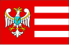 Bandeira do Condado de Gniezno