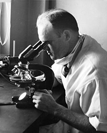 Image of Dr. Cox using a microscope