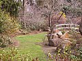 Miniatura para Jardín botánico del parque Sayen