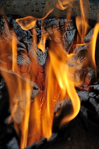 Языки пламени над горящей древесиной