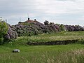 Lilla hæk og stenmur på en Vilsandi gård