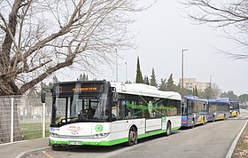Image illustrative de l’article Autobus d'Avignon