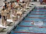 Swimming relay exchange.jpg