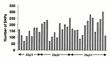 TSC SNP distribution along the long arm of chromosome 22 (from https://web.archive.org/web/20130903043223/http://snp.cshl.org/ ). Each column represents a 1 Mb interval; the approximate cytogenetic position is given on the x-axis. Clear peaks and troughs of SNP density can be seen, possibly reflecting different rates of mutation, recombination and selection. TSC SNP Distribution.jpg