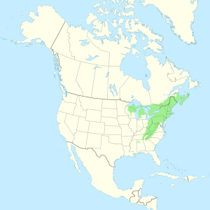 English: Range map of eastern hemlock (Tsuga c...