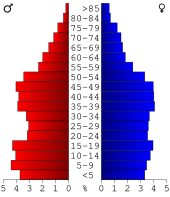 Bevolkingspiramide Martin County