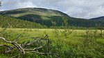 En bild av Vadvetjåkkas träskmarker i nationalparkens södra ände. I bakgrunden syns sydbranten på fjällryggen som leder norrut till gränsen mot Norge.