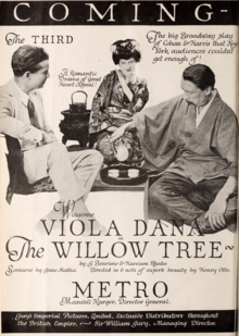 Viola Dana The Willow Tree Film Daily 1919.png