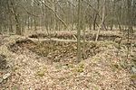 Walls of Čalonice castle near Dalešice, Třebíč District.JPG