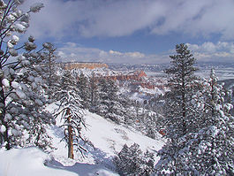 Winter storm at Bryce Canyon National Park.