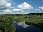 Луга у д. Новое Овсино в долине реки Луга