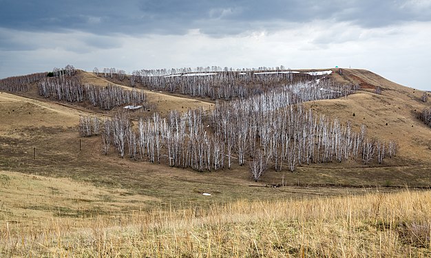 150. Заказник Чатыр-Тау, Азнакаевский район Автор — Azmanova Natalia