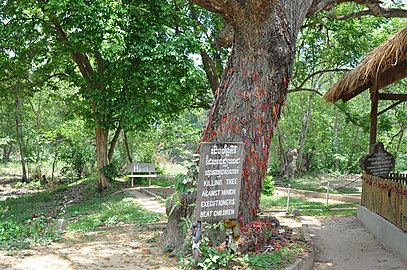 Chankiri Tree (Killing Tree) at Choeung Ek, where infants were fatally smashed during the genocide