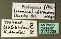 Alloformica aberrans casent0172238 label 1.jpg