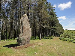 Image illustrative de l’article Menhir d'Arribirilleta