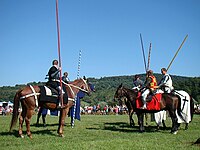 Konny Turniej Rycerski podczas Kermeszu w Mrzygłodzie (2012)[27]