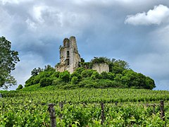 Les ruines du château de Gurson.