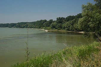 Confluence Morava/Danube : même point vu de l'aval.