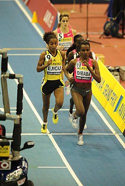 Ejegayehu Dibaba vuonna 2010.