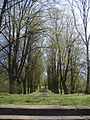 park, poł. XIX