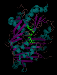 FAD cofactor (in green) is located between domain I and domain II of THCA synthase. Alpha helices are cyan and beta sheets are magenta.