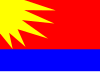 Flag of Miranda Municipality