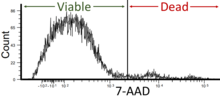 Flow cytometry using 7-Aminoactinomycin D (7-AAD), wherein a lower signal indicates viable cells. Therefore, this case shows good viability. Flow cytometric viability by 7-AAD.png