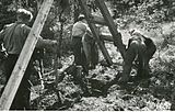 Norske flyktninger i Sverige arbeider med stubbebryting i Lidköping i august 1941. På det meste arbeidet 6-7000 norske menn i svensk skogbruk under krigen. Foto: NTB/Riksarkivet