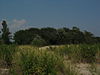 Jamaica Bay Coastal Landscapes at Gateway