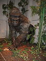 Gigantopithecus blacki as appeared in the 2014 exhibition in the Czech Republic [1]