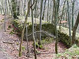 Denkmalzone Burgruine Hohenfels