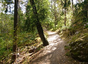 Judarskogens naturstig vid södra sidan.