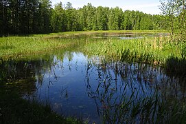 Kurtna Ahvenjärv