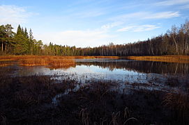 Kurtna Kastjärv Kurtna järvestikus