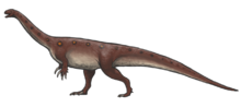 Miniatura para Massospondylus