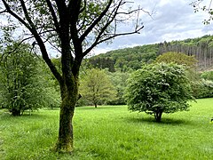 Landschaftsmosaik bei Breitenbruch