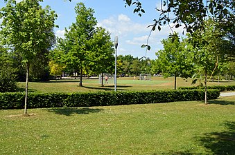 Park Voetbalveld