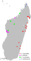 Distribuição das quatro espécies de Omphalea de Madagáscar.